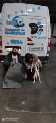 GPAR :: Grupo de Protección Animal de Rute