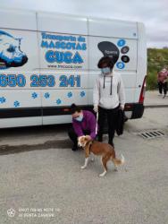 GPAR :: Grupo de Protección Animal de Rute