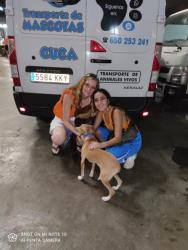 GPAR :: Grupo de Protección Animal de Rute