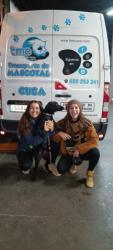 GPAR :: Grupo de Protección Animal de Rute