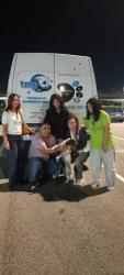 GPAR :: Grupo de Protección Animal de Rute
