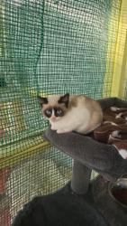 GPAR :: Grupo de Protección Animal de Rute