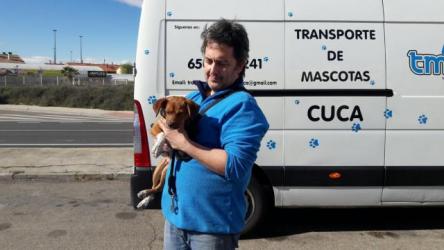 GPAR :: Grupo de Protección Animal de Rute