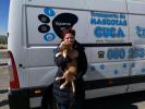 GPAR :: Grupo de Protección Animal de Rute