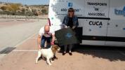 GPAR :: Grupo de Protección Animal de Rute