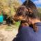 GPAR :: Grupo de Protección Animal de Rute