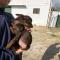 GPAR :: Grupo de Protección Animal de Rute