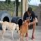 GPAR :: Grupo de Protección Animal de Rute
