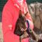 GPAR :: Grupo de Protección Animal de Rute