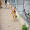 GPAR :: Grupo de Protección Animal de Rute