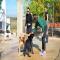 GPAR :: Grupo de Protección Animal de Rute