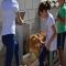 GPAR :: Grupo de Protección Animal de Rute