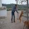 GPAR :: Grupo de Protección Animal de Rute
