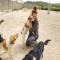 GPAR :: Grupo de Protección Animal de Rute