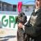 GPAR :: Grupo de Protección Animal de Rute